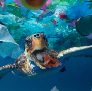 Why It’s Crucial To Minimize Plastic&nbsp;Pollution